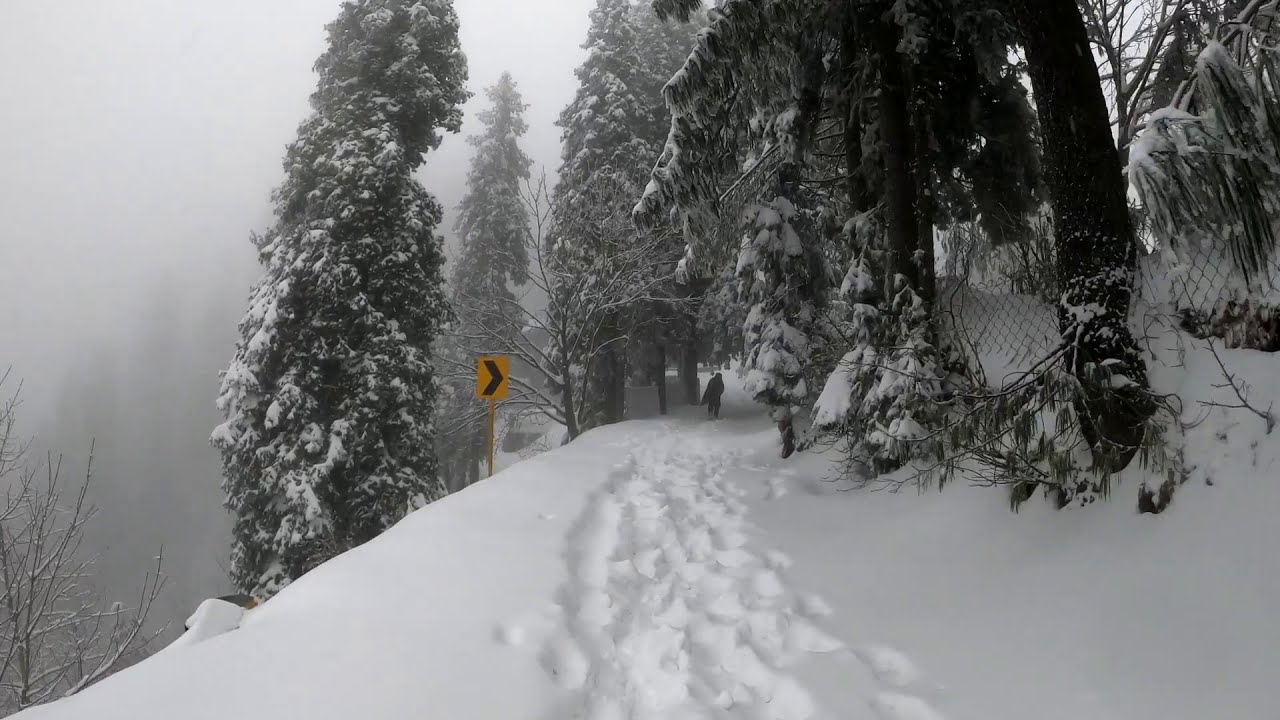 Nathia Gali Image 3